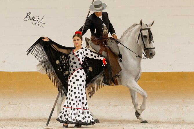 Horse and Flamenco Show in Malaga with Dinner - An Andalusian evening built around horses and music