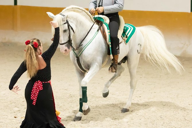 Horse and Flamenco Show in Malaga with Dinner - Flamenco with José Lucena’s company