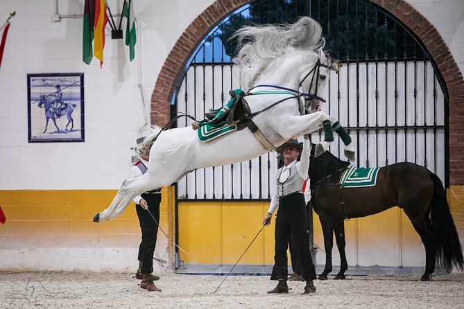 Horse and Flamenco Show in Malaga with Dinner - Booking and cancellation details that matter