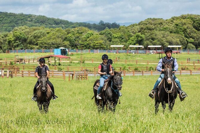 Horse and Quad bike tour with a visit to a Petting Zoo - The rainforest section and mini mustering