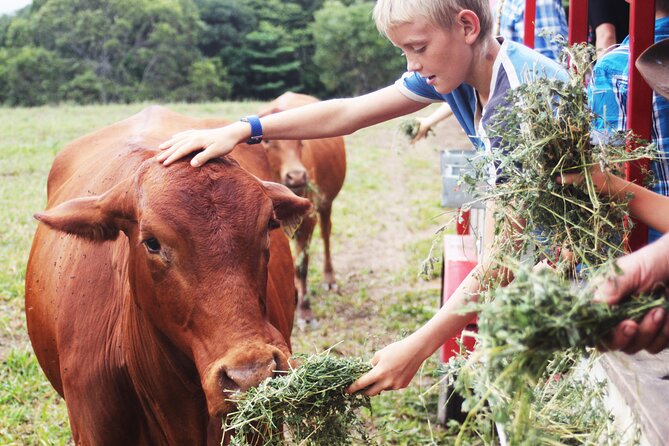 Horse and Quad bike tour with a visit to a Petting Zoo - Staff support and the small-group advantage