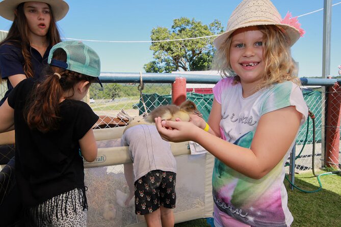 Horse and Quad bike tour with a visit to a Petting Zoo - Getting there from Cairns
