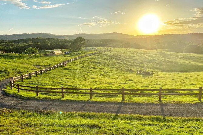 Horse and Quad bike tour with a visit to a Petting Zoo - Who should book this experience?