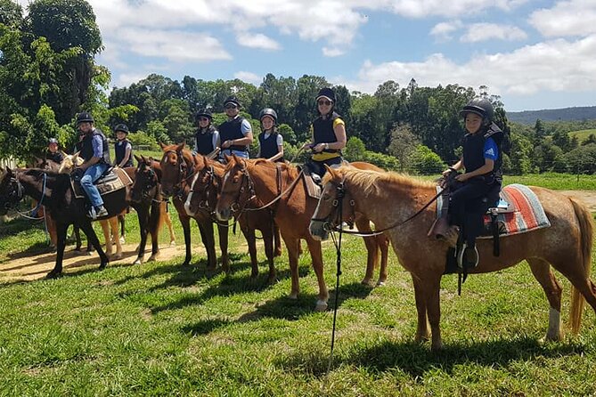 Horse and Quad bike tour with a visit to a Petting Zoo - The short break before the engines start