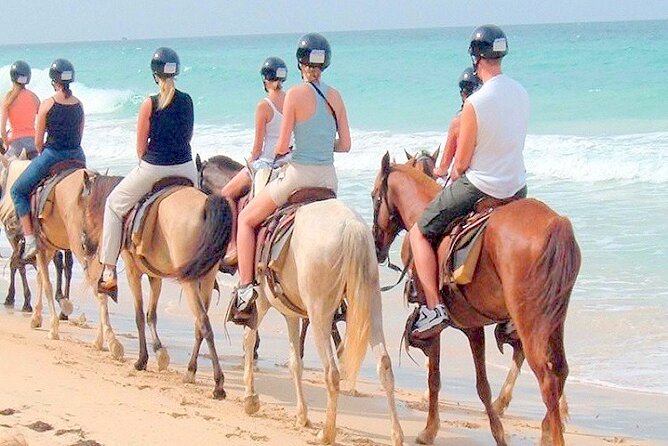 Horse Back Riding Adventure in Punta Cana - Horses, equipment, and the human side of the outing