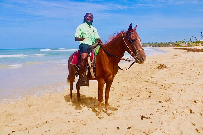 Horse Back Riding Adventure in Punta Cana - Is $59 a good value?