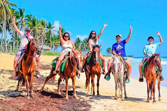 Horse Back Riding Adventure in Punta Cana - Who should book this Punta Cana ride?