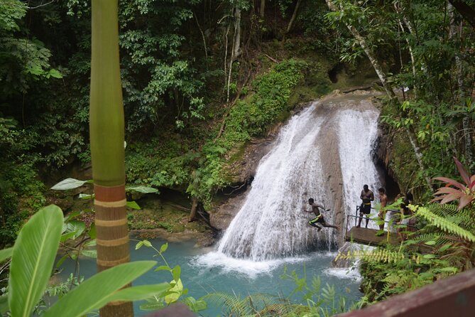 Horse Back Riding and Blue Hole From Montego Bay - Horseback riding from forest to beach and sea