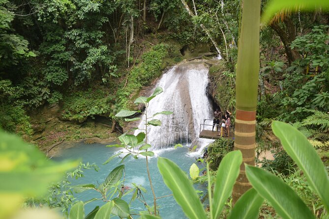 Horse Back Riding and Blue Hole From Montego Bay - What $160 means in practical value