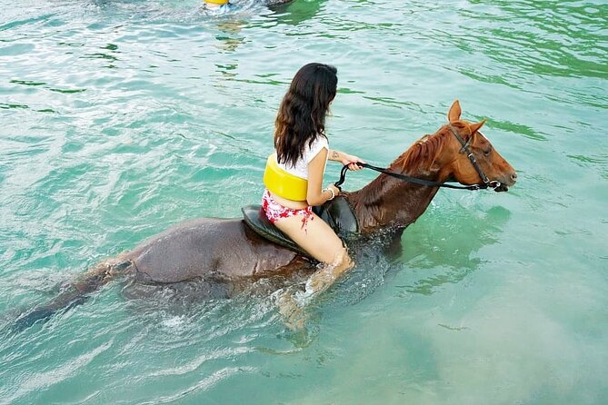 Horse Back riding Excursion - A short trail ride with a narrated nature stop