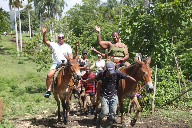 Horse back riding (Punta Cana/Bavaro) - From Punta Cana resorts to the Macao countryside