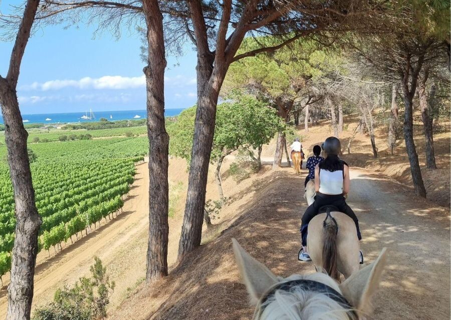 Horse back riding + wine tasting in Ramatuelle - Riding through Domaine des Tournels