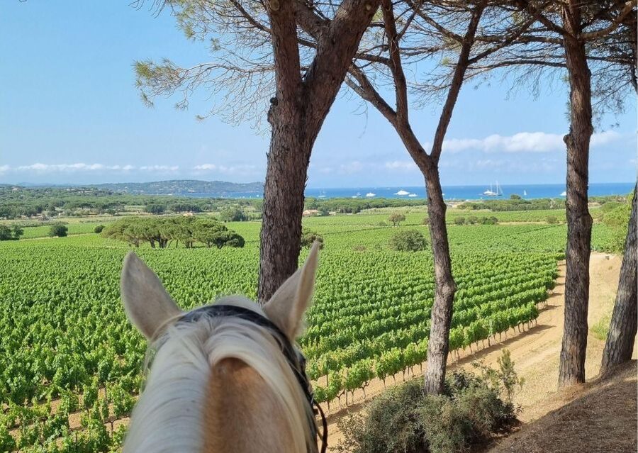 Horse back riding + wine tasting in Ramatuelle - Price, timing, and practical value