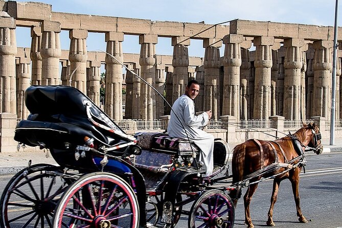 Horse Carriage City Tour in Luxor city with meal and soft drink - A practical introduction to modern Luxor