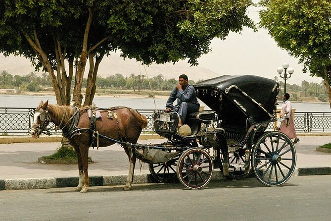 Horse Carriage City Tour in Luxor city with meal and soft drink - Who will enjoy this two-hour experience?