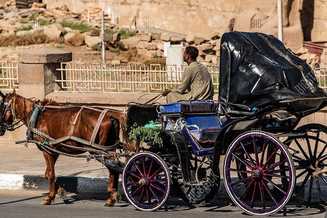 Horse Carriage City Tour in Luxor city with meal and soft drink - Booking details, timing, and cancellation