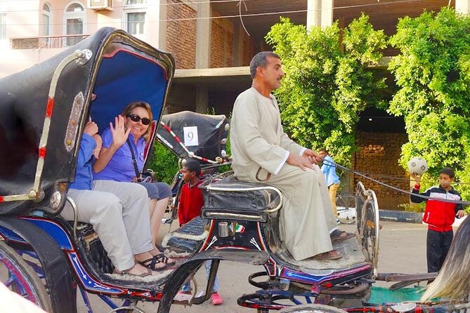 Horse Carriage City Tour in Luxor city with meal and soft drink - Why the private setup is worth considering