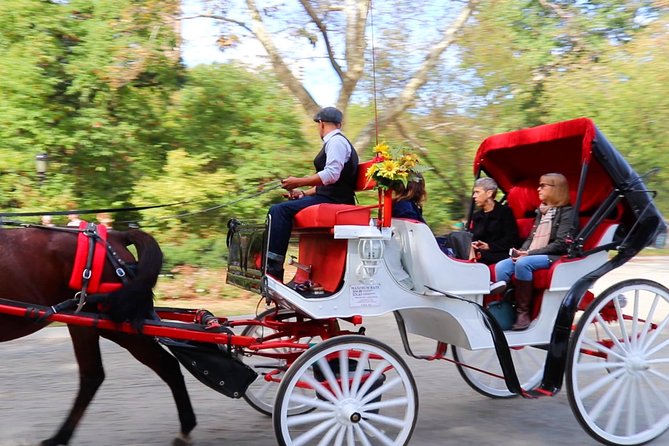 Horse Carriage Ride with Tavern on the Green Pick-Up & Drop-Off - Balto’s statue and a memorable bit of Alaska