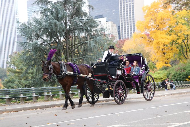 Horse Carriage Ride with Tavern on the Green Pick-Up & Drop-Off - What the $210 group price means