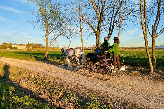 Horse Carriage Tour and Wine Tasting in Lazise - Group size, pace, and comfort