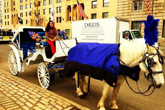 Horse Carriage Tour in New York City's Central Park Small Loop - A short carriage ride with a clear purpose