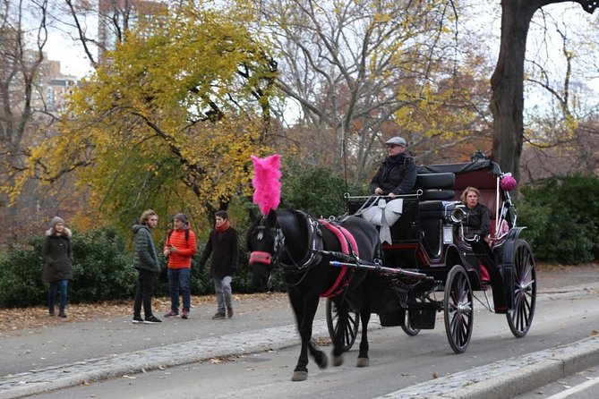Horse Carriage Tour in New York City's Central Park Small Loop - What the private format adds