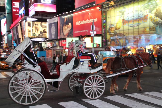 Horse Carriage Tour in New York City's Central Park Small Loop - Value for a short New York activity