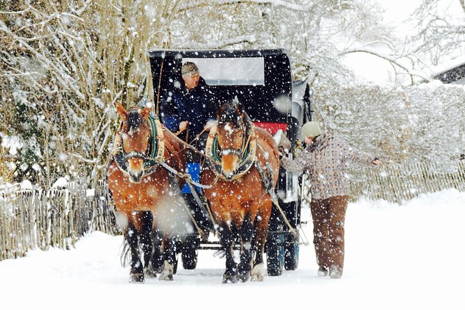 Horse Carriage Tour of Garmisch-Partenkirchen - The cancellation rule and final booking decision