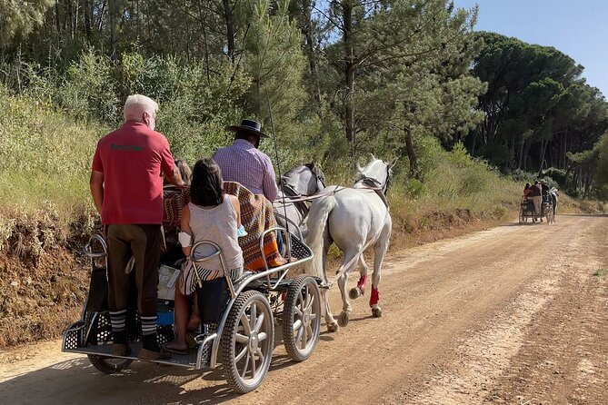 Horse Carriage Tour on the Mountain in Palmela - Looking across Lisbon from the 25 de Abril Bridge