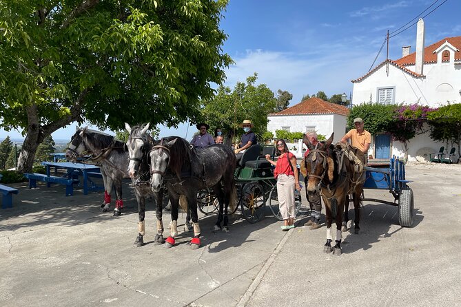 Horse Carriage Tour on the Mountain in Palmela - The Cristo Rei story above the river