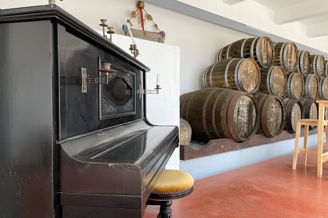 Horse Carriage Tour on the Mountain in Palmela - Communication, comfort, and the small details