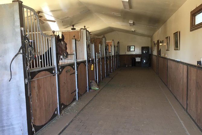 Horse Country Estate and Vineyard Wine Tasting Tour - A full day beyond Scottsdale’s usual attractions