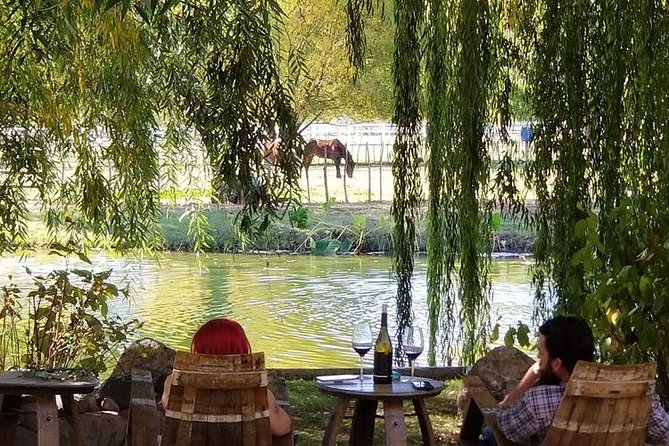 Horse Country Estate and Vineyard Wine Tasting Tour - Seeing horses at a private equestrian estate