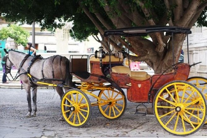Horse-Drawn Carriage Ride Through Seville - Why a carriage ride works well in Seville