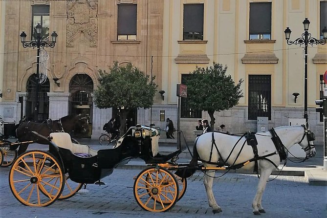 Horse-Drawn Carriage Ride Through Seville - San Telmo Palace and the Torre del Oro