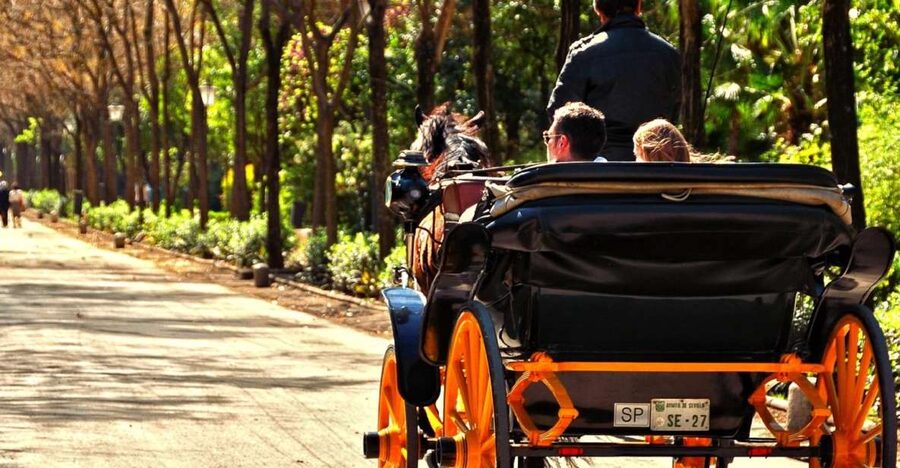 Horse-Drawn Carriage Ride Through Seville - University of Seville and Hotel Alfonso XIII