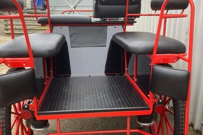 Horse drawn carriage ride york - Who will enjoy this most