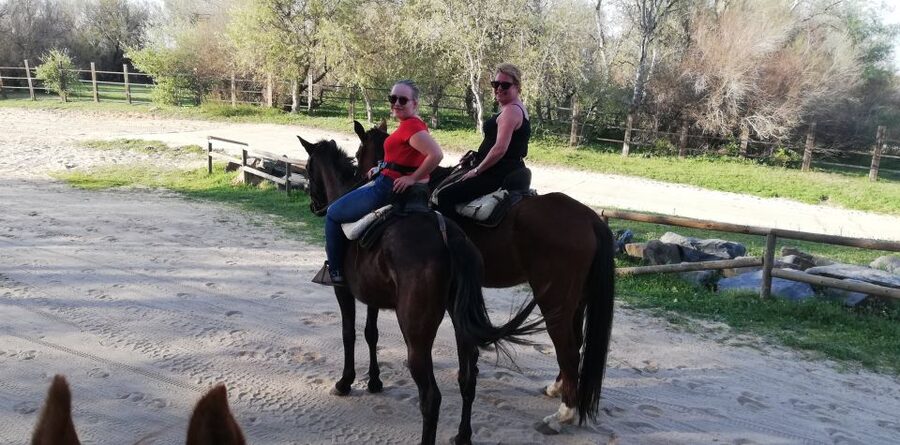Horse-Drawn Carriage Route Through Doñana Park and The Villa - Starting at Camping La Aldea