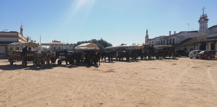 Horse-Drawn Carriage Route Through Doñana Park and The Villa - El Rocío, where sand is part of the character