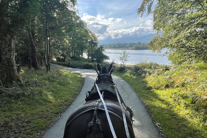 Horse-Drawn Carriage Tours in Killarney - Key points to know before you book