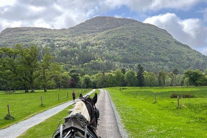 Horse-Drawn Carriage Tours in Killarney - Setting out from Beech Road