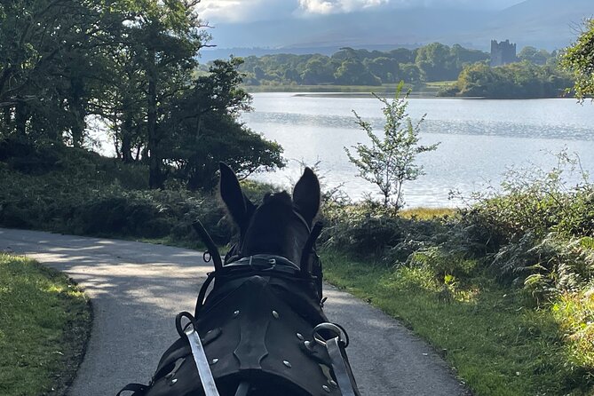 Horse-Drawn Carriage Tours in Killarney - Inisfallen ruins from the carriage route