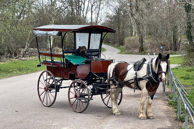 Horse-Drawn Carriage Tours in Killarney - The Ross Castle stop