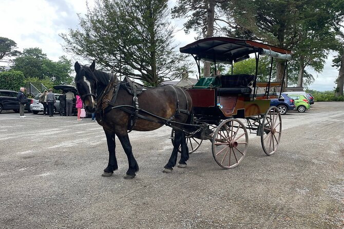 Horse-Drawn Carriage Tours in Killarney - The guide makes the difference
