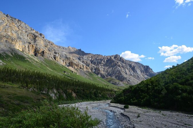 Horse-Drawn Covered Wagon Ride with Backcountry Dining - Key points to know before booking