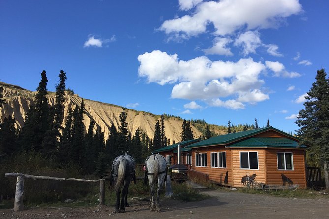 Horse-Drawn Covered Wagon Ride with Backcountry Dining - Meeting the horses after the meal