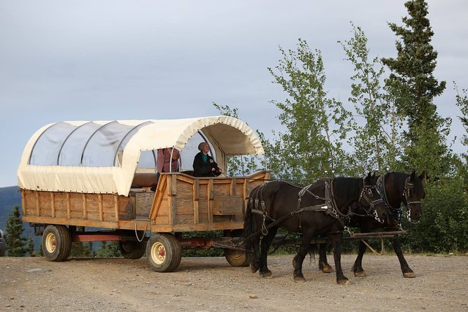 Horse-Drawn Covered Wagon Ride with Backcountry Dining - Returning along Denali’s boundary