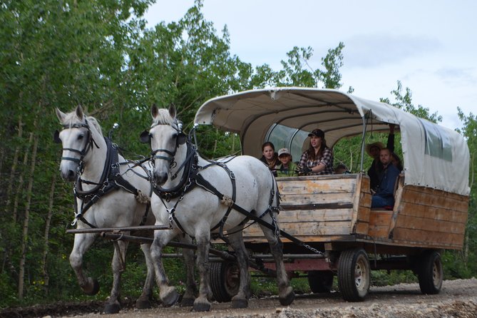 Horse-Drawn Covered Wagon Ride with Backcountry Dining - Who will enjoy this most