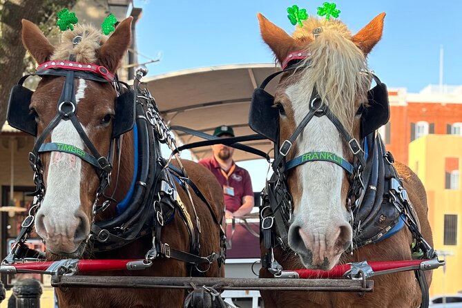 Horse Drawn Daytime Group Narrated Historic Overview Tour - Starting on Jefferson Street