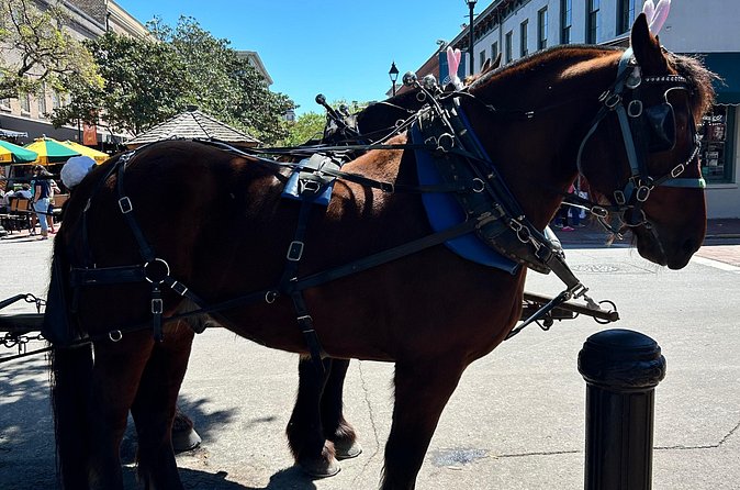 Horse Drawn Daytime Group Narrated Historic Overview Tour - What the narration is really like